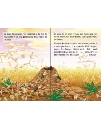Le prophète Soulaymân - Histoires des Prophètes pour les Petits 