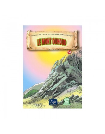 Le mont Ouhoud (14) 