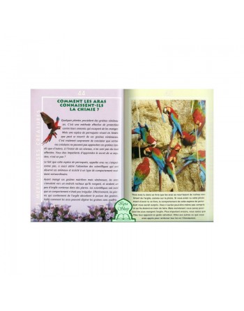 Pack 3 livres Les merveilles de la création 