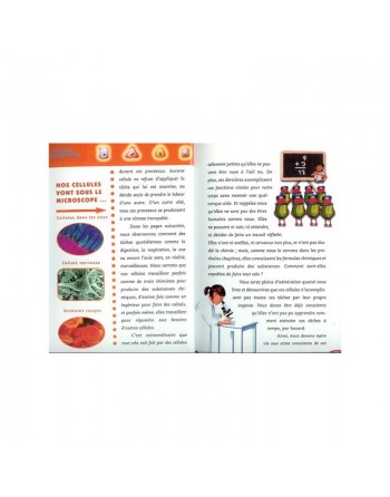 Pack 3 livres Les merveilles de la création 