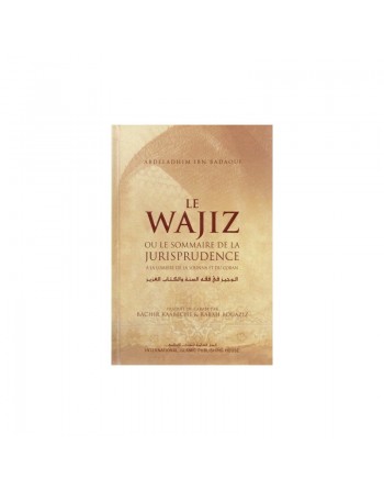 Le Wajiz ou le sommaire de la jurisprudence 