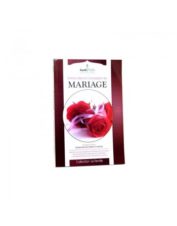 Erreurs dans la conception du mariage [Tome 1] 