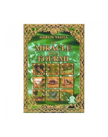 Le miracle de la fourmi 