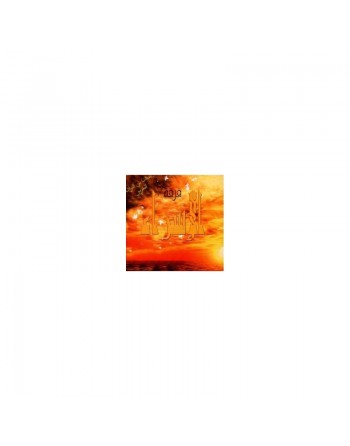 Chants Religieux : Hamziya (Firqat Al Israa) [CD203] 
