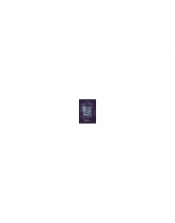 Le Saint Coran récité par Cheikh El-Manchawi (arabe/français) - 2 CD audio 
