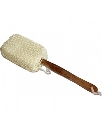 Brosse à dos en crin et manche en bois 