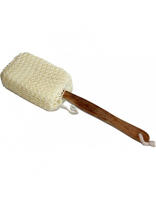 Brosse à dos en crin et manche en bois Brosse à dos en crin et manche en bois