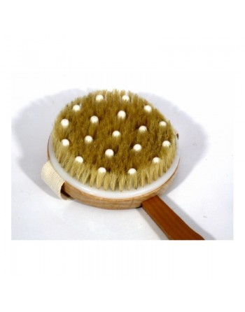 Grande brosse ronde double fonction (nettoie et masse) pour le dos et le reste du corps (détachable) 