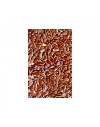 Graine de Lin - pot de 30g net بذرة الكتان 