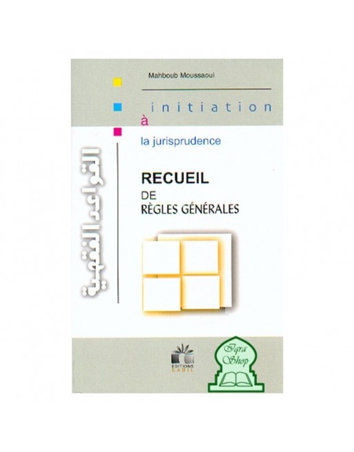 Initiation à la jurisprudence - Recueil de règles générales 