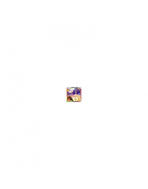 Le Saint coran complet par Cheikh Sa'd Elghamidy [en CD MP3] Cheikh Saad Al-Ghamidi - سعد الغامدي 