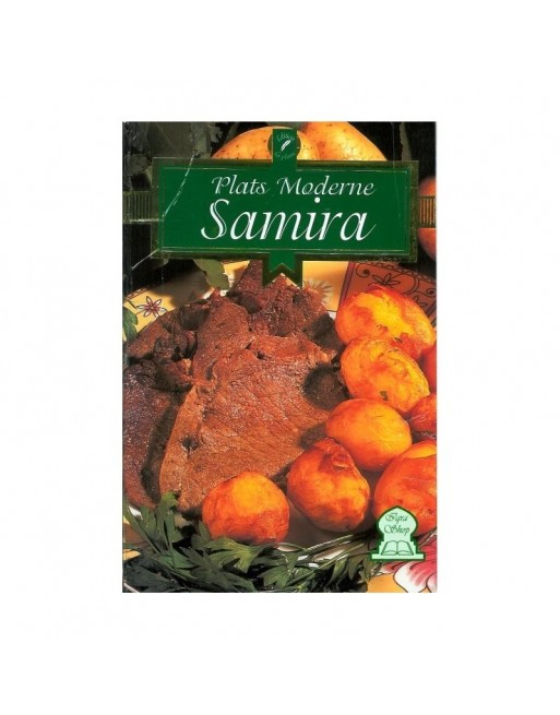 Plats moderne - Samira 