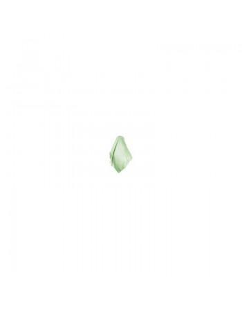 Hijab (Foulard) vert clair 
