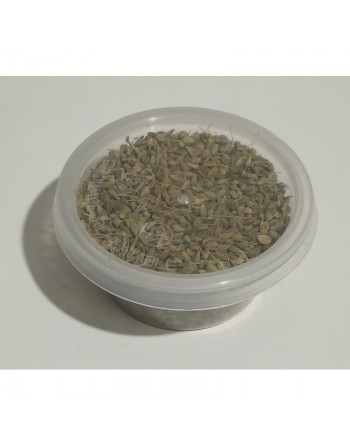 Graines d'anis vert (20g) 