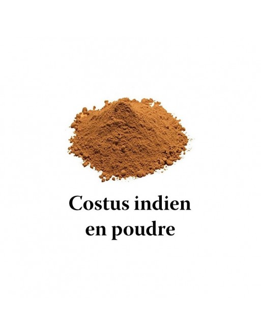 Costus indien en poudre - pot de 25g net Costus indien en poudre - pot de 25g net