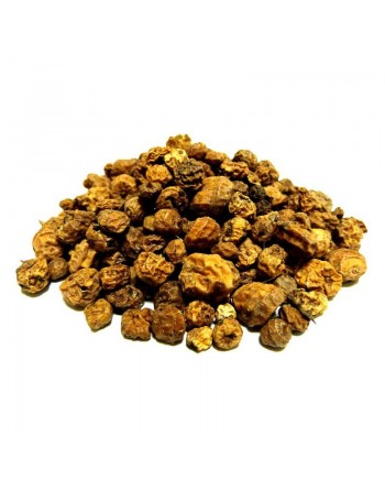 Graines "Habb Laziz" (pot de 60 g net) - حب العزيز 