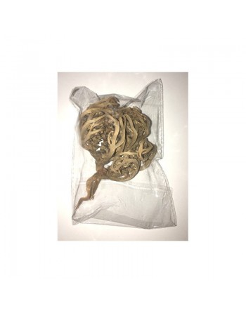 Chajarat Mariam (Gattilier, Rose de Jericho) - Kef Meriem 