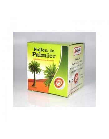 Pollen de palmier - Palm Pollen - طلع النخيل 