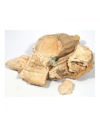 Sachet de costus marin - al-qist al-bahrî - en morceau - 100 g net 