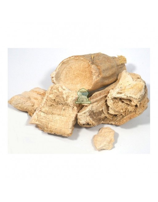 Sachet de costus marin - al-qist al-bahrî - en morceau - 100 g net Sachet de costus marin - al-qist al-bahrî - en morceau - 100 g net